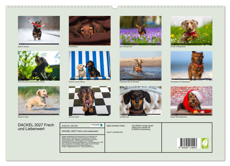 DACKEL 2027 Frech und Liebenwert (CALVENDO Wandkalender 2027)