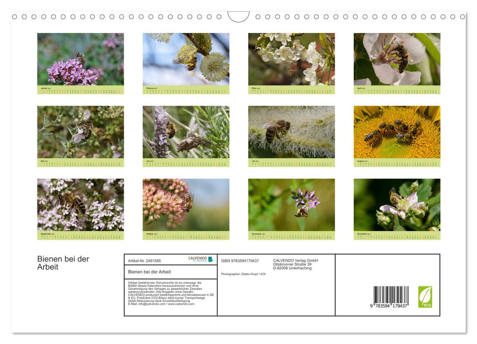 Bienen bei der Arbeit (CALVENDO Wandkalender 2027)