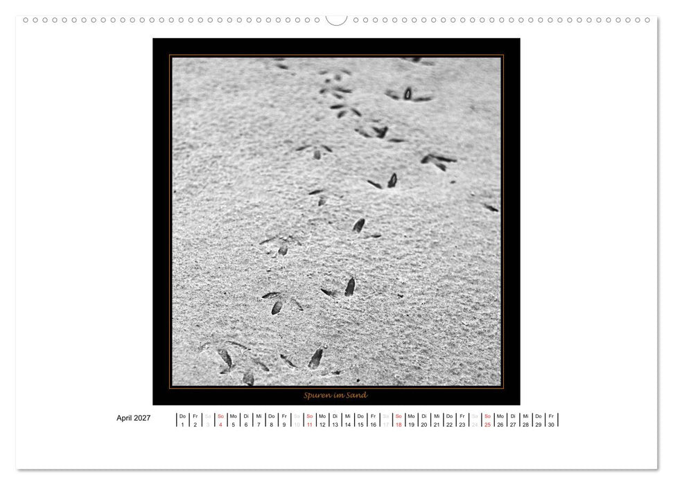 Wangerooge in Fine Art (CALVENDO Wandkalender 2027)