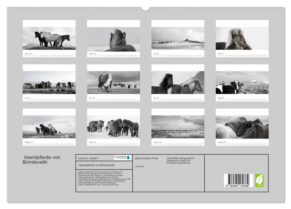 Islandpferde von Brimilsvellir (CALVENDO Premium Wandkalender 2027)