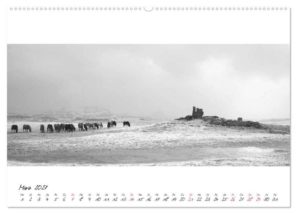 Islandpferde von Brimilsvellir (CALVENDO Premium Wandkalender 2027)