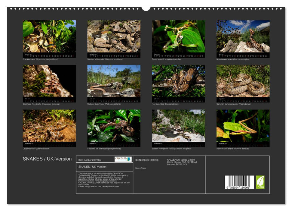SNAKES / UK-Version (CALVENDO Premium-Calendar 2027)