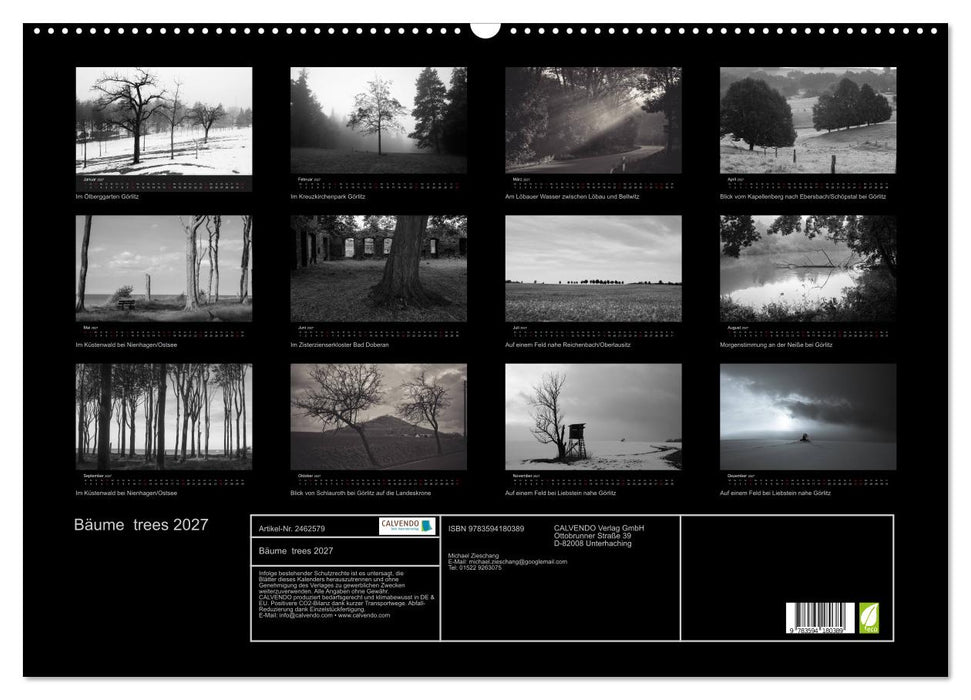 Bäume trees 2027 (CALVENDO Wandkalender 2027)