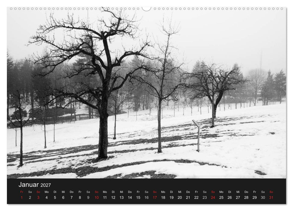 Bäume trees 2027 (CALVENDO Wandkalender 2027)