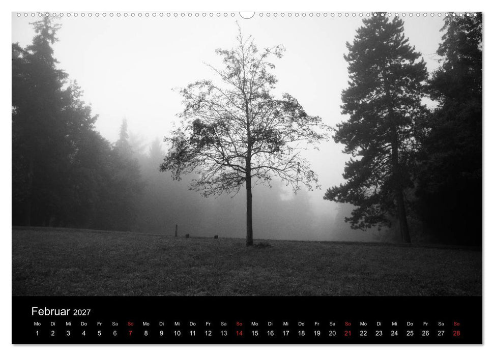 Bäume trees 2027 (CALVENDO Wandkalender 2027)