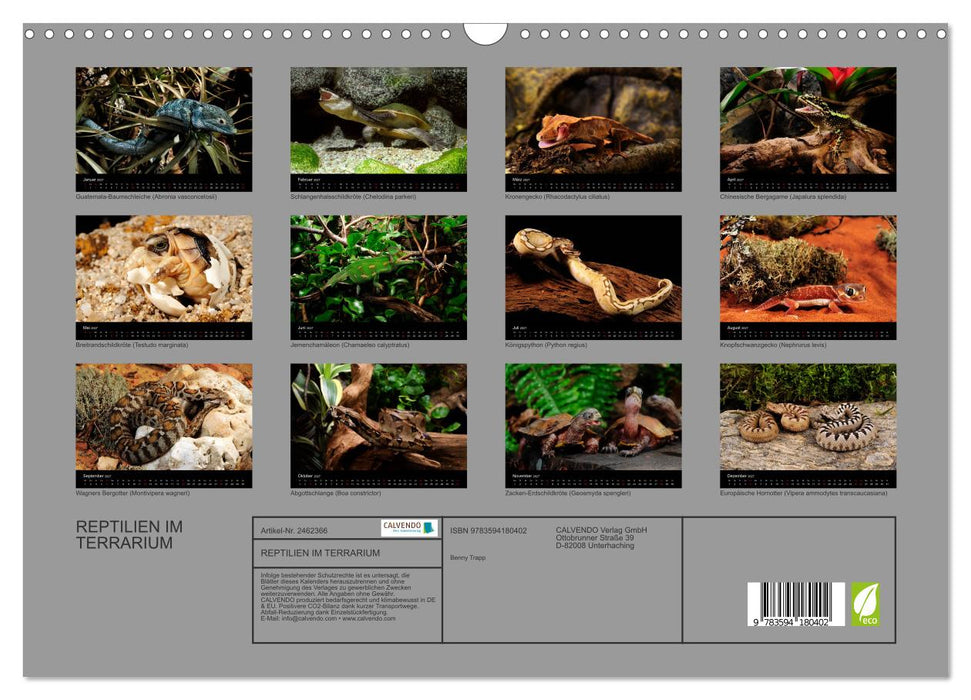 REPTILIEN IM TERRARIUM (CALVENDO Wandkalender 2027)