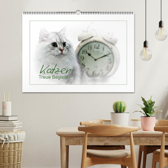 Katzen – Treue Begleiter (CH - Version) (CALVENDO Wandkalender 2027)