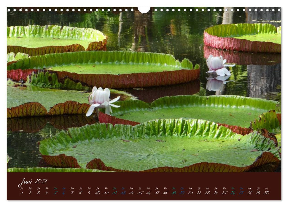 Indische Perle - Mauritius (CALVENDO Wandkalender 2027)