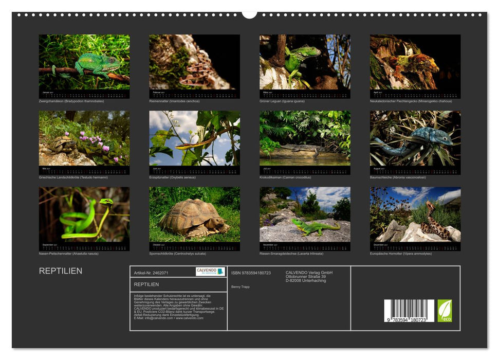 REPTILIEN (CALVENDO Premium Wandkalender 2027)