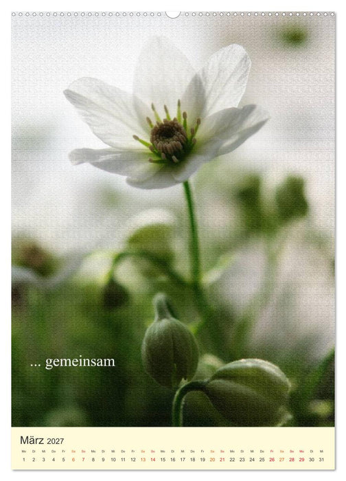 flowers (CALVENDO Premium Wandkalender 2027)