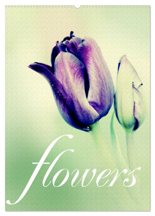 flowers (CALVENDO Wandkalender 2027)