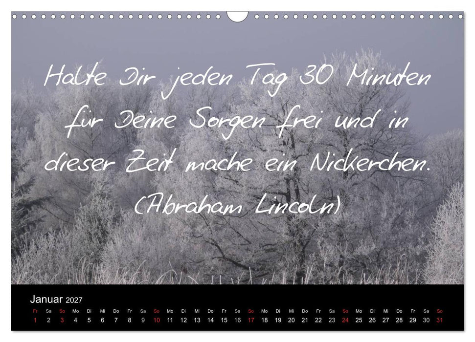 Positiv durch´s Jahr (CALVENDO Wandkalender 2027)