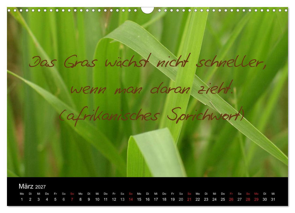 Positiv durch´s Jahr (CALVENDO Wandkalender 2027)