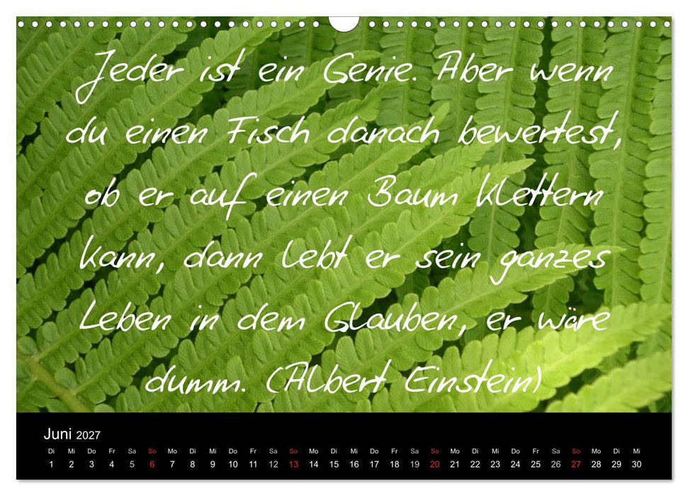 Positiv durch´s Jahr (CALVENDO Wandkalender 2027)