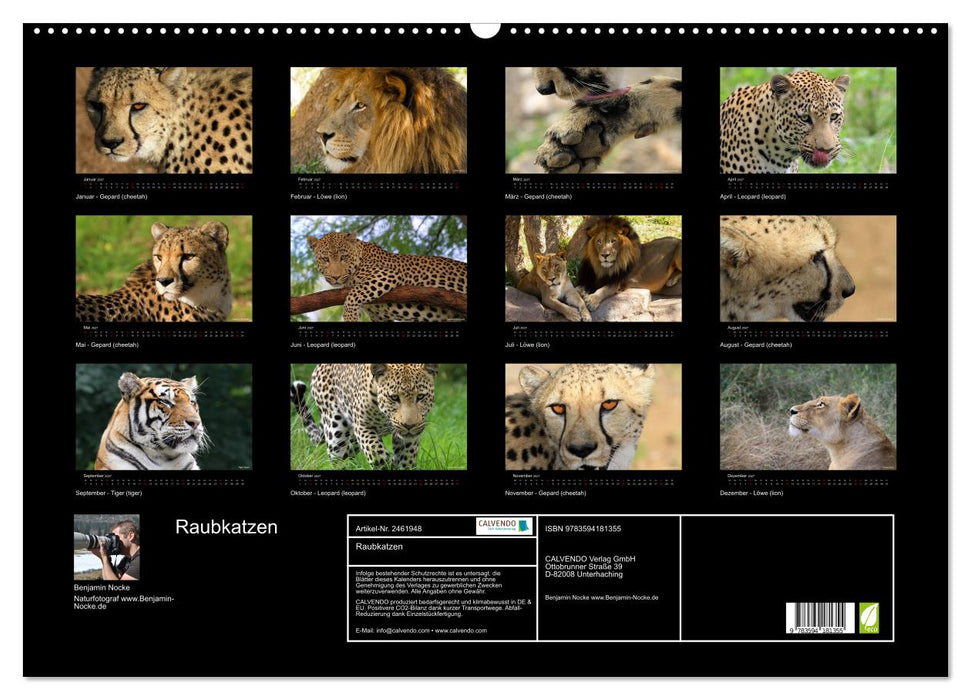 Raubkatzen (CALVENDO Wandkalender 2027)