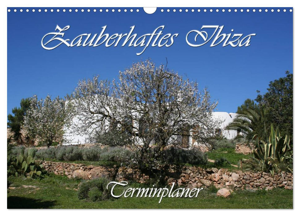 Zauberhaftes Ibiza - Terminplaner (CALVENDO Wandkalender 2027)