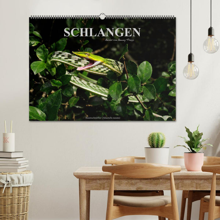 Schlangen (CALVENDO Wandkalender 2027)