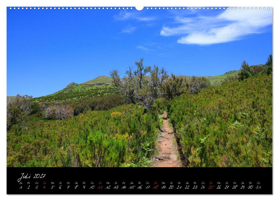 Madeira (CALVENDO Premium Wandkalender 2027)