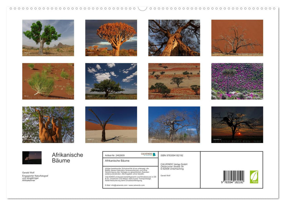 Afrikanische Bäume (CALVENDO Premium Wandkalender 2027)