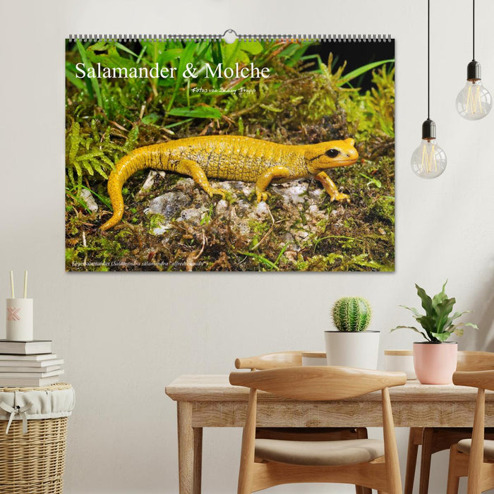 Salamander und Molche (CALVENDO Wandkalender 2027)