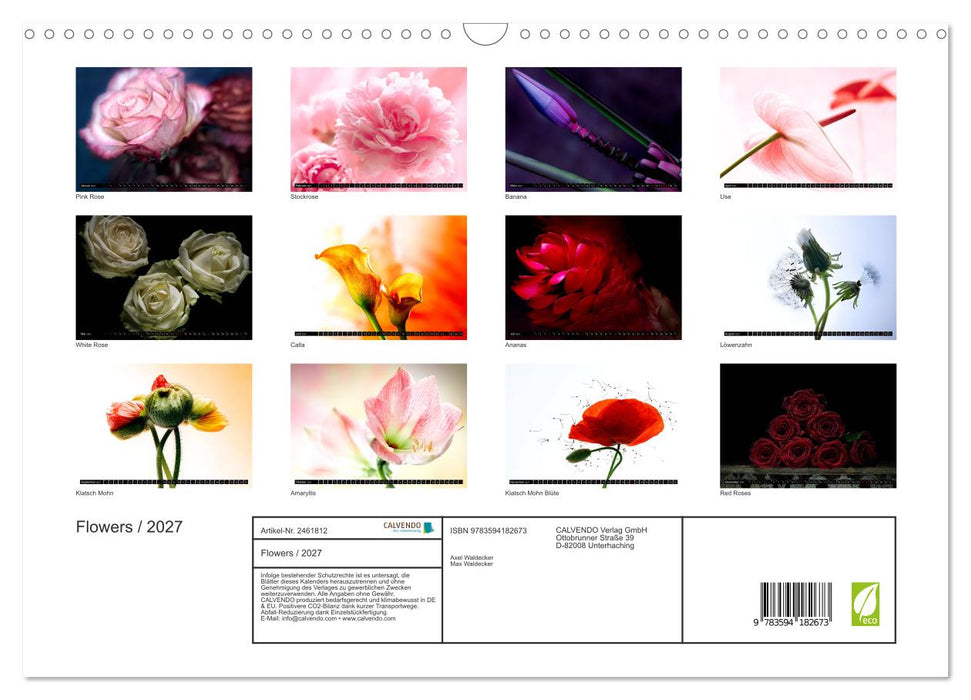 Flowers / 2027 (CALVENDO Wandkalender 2027)