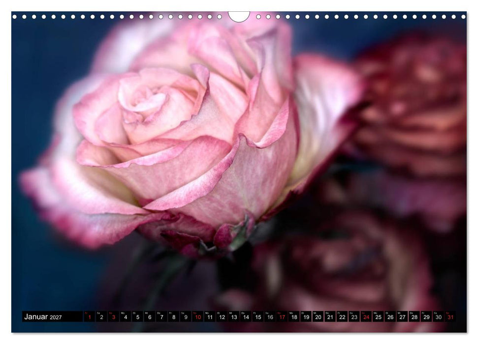 Flowers / 2027 (CALVENDO Wandkalender 2027)