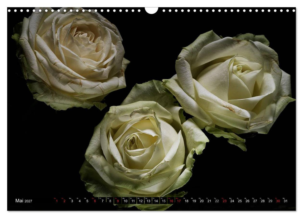 Flowers / 2027 (CALVENDO Wandkalender 2027)