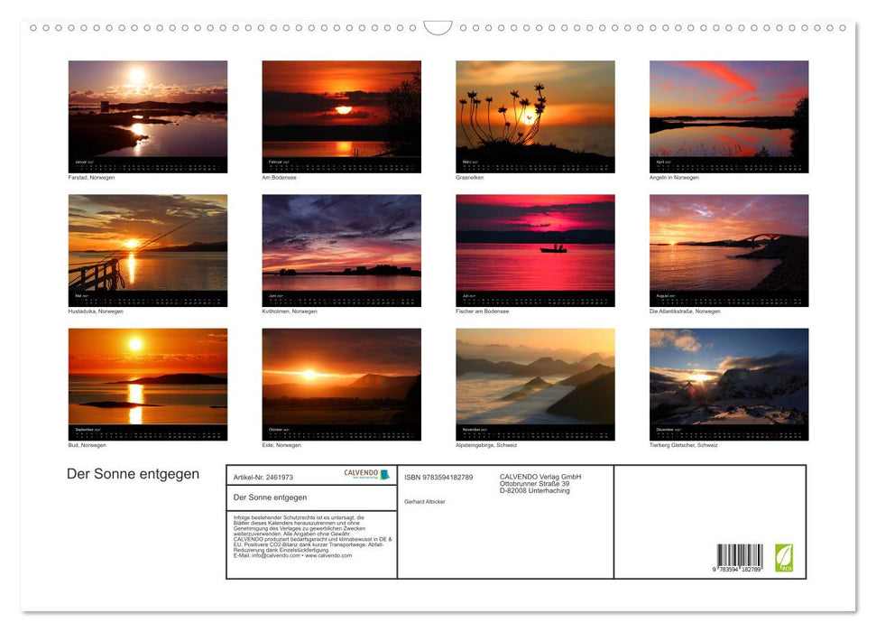 Der Sonne entgegen (CALVENDO Wandkalender 2027)