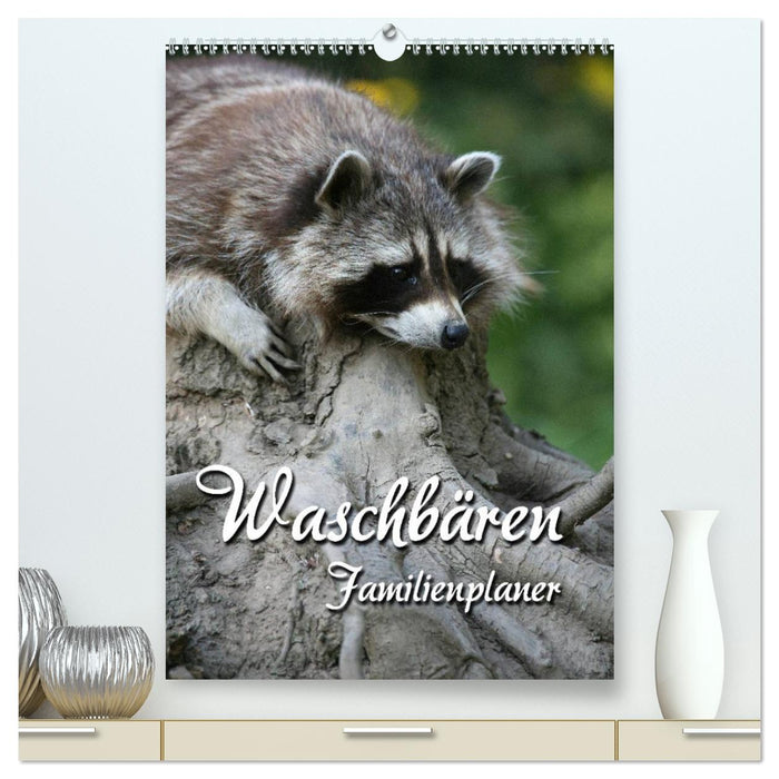 Waschbären Familienplaner (CALVENDO Premium Wandkalender 2027)