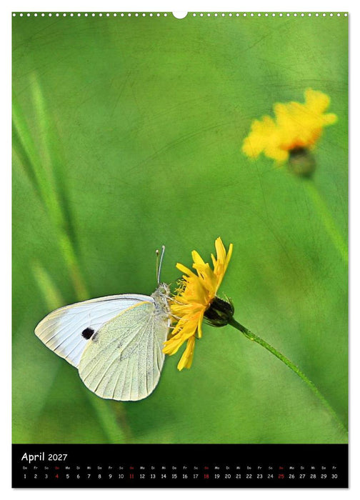 NATUR PUR Blütenträume (CALVENDO Wandkalender 2027)