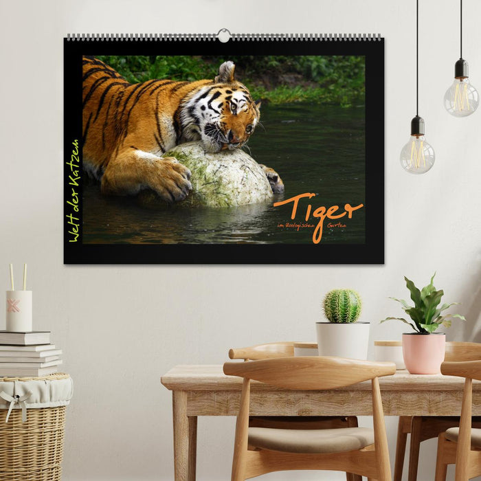 Welt der Katzen - Tiger (CALVENDO Wandkalender 2027)