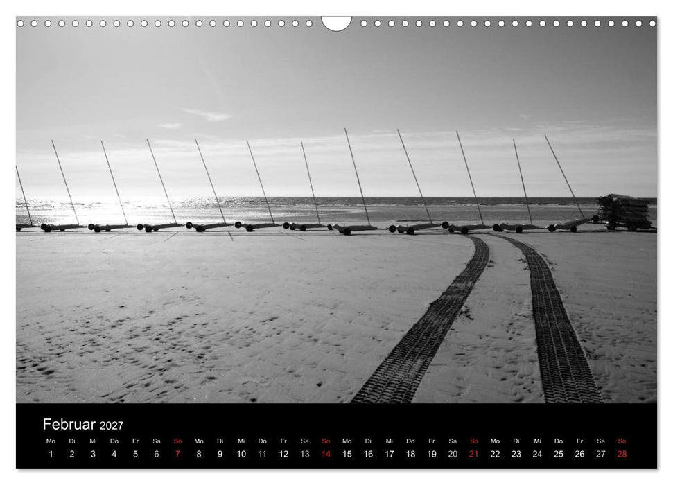 BLACK 'N WHITE (CALVENDO Wandkalender 2027)