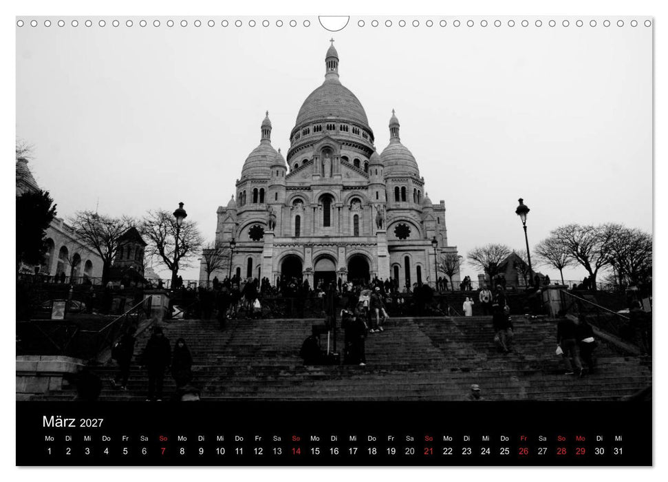 BLACK 'N WHITE (CALVENDO Wandkalender 2027)