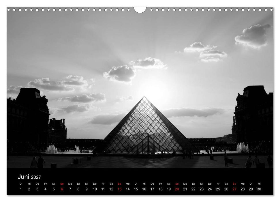 BLACK 'N WHITE (CALVENDO Wandkalender 2027)