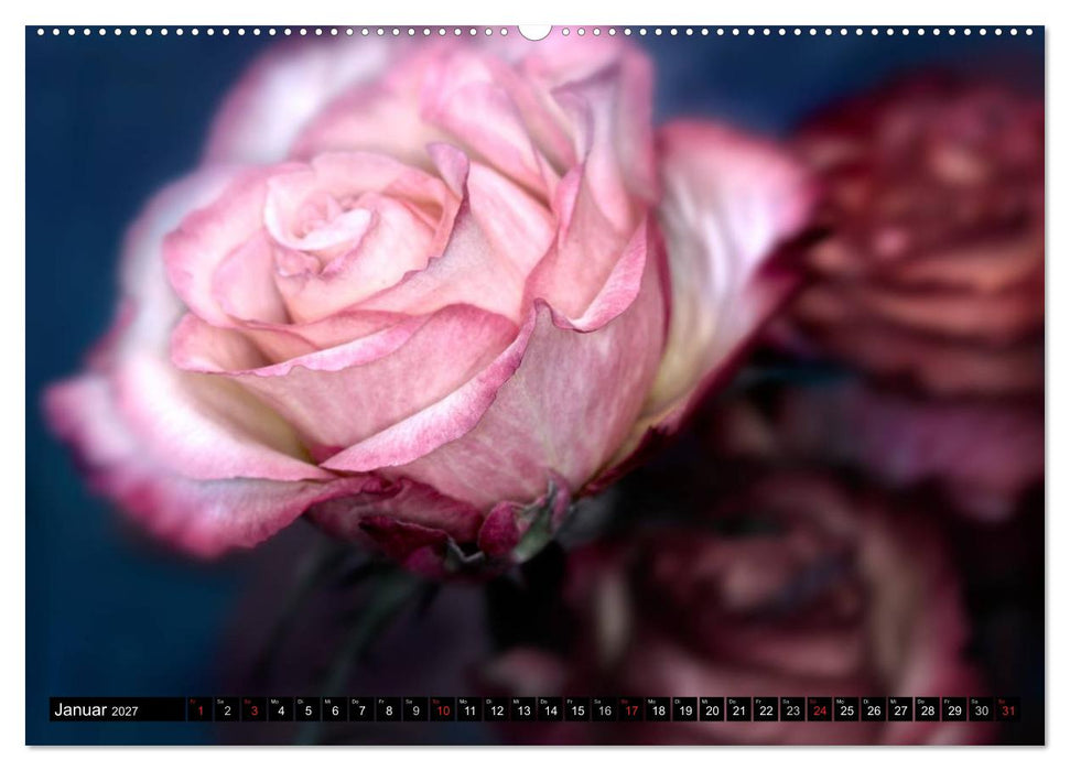 Flowers / 2027 (CALVENDO Premium Wandkalender 2027)