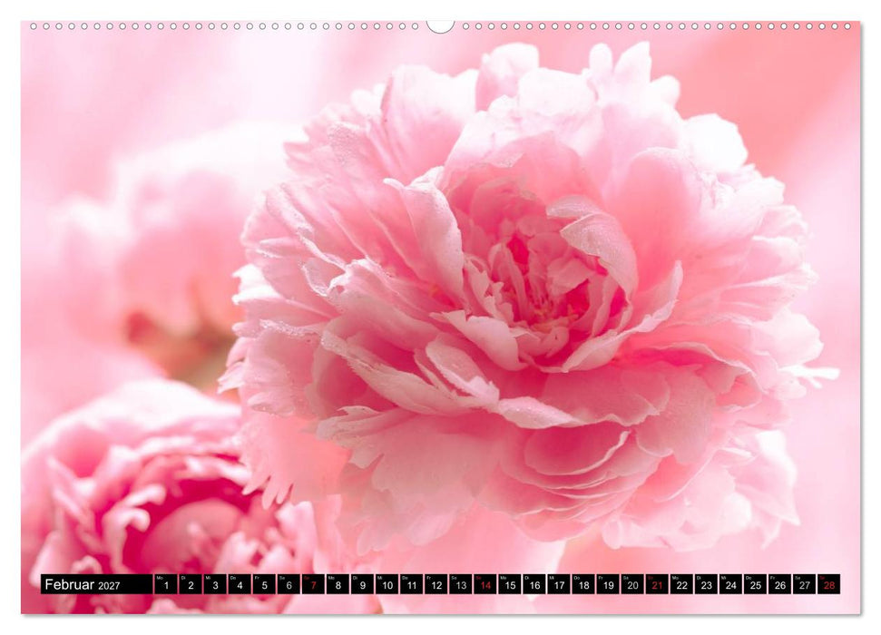 Flowers / 2027 (CALVENDO Premium Wandkalender 2027)