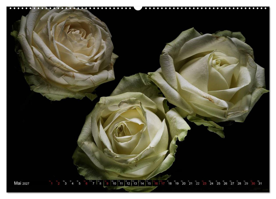 Flowers / 2027 (CALVENDO Premium Wandkalender 2027)