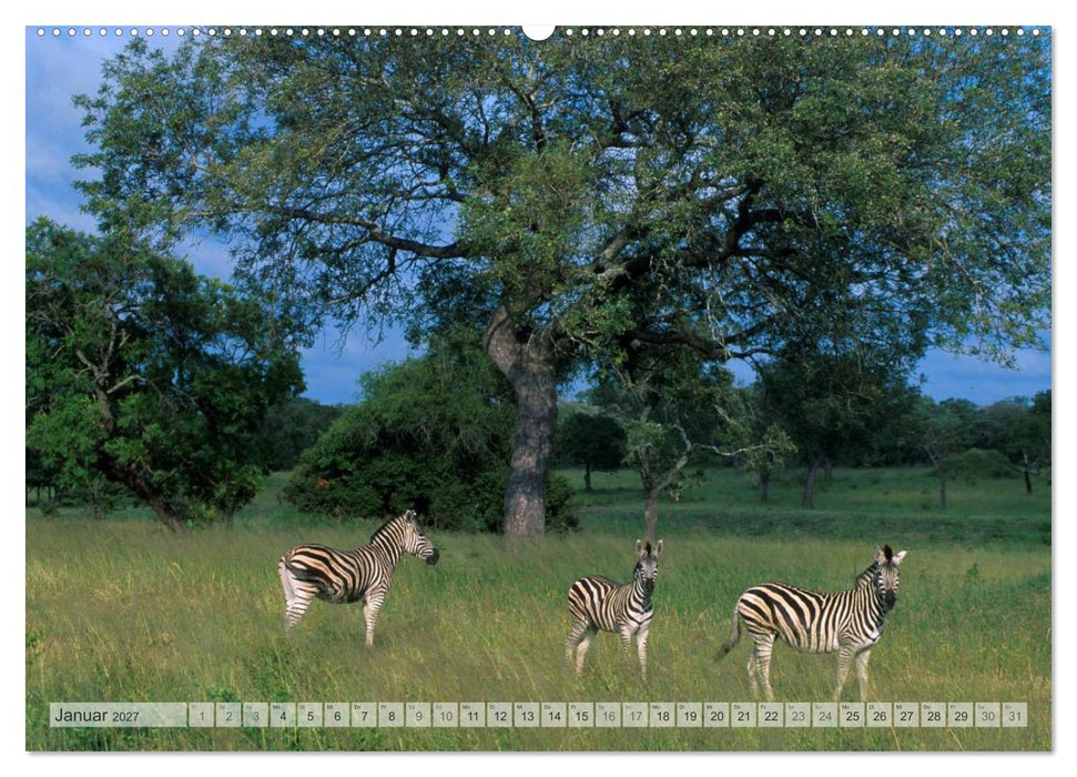 Südafrika Christian Heeb (CALVENDO Wandkalender 2027)