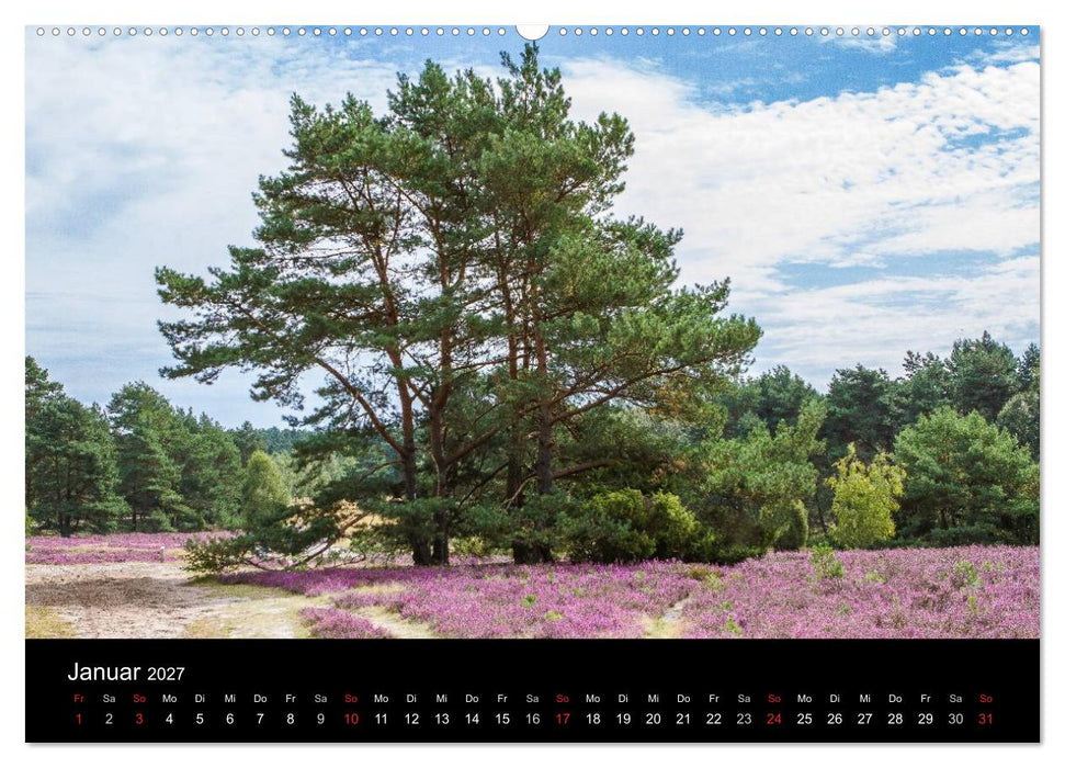 Lüneburger Heide (CALVENDO Wandkalender 2027)