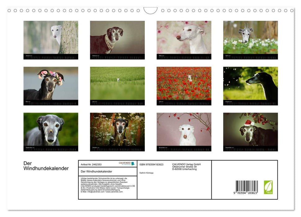 Der Windhundekalender (CALVENDO Wandkalender 2027)