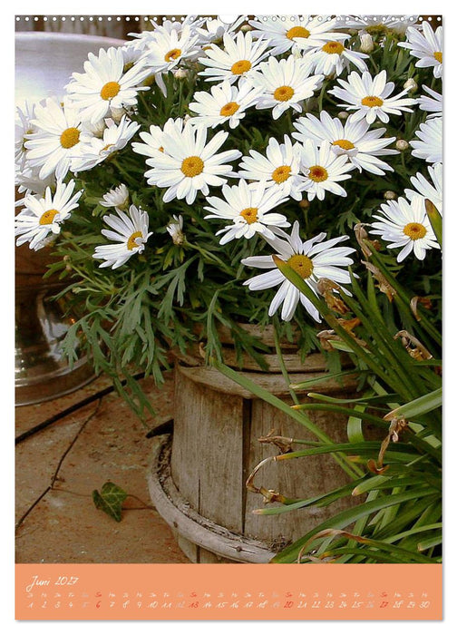 Provence Idyllen (CALVENDO Premium Wandkalender 2027)