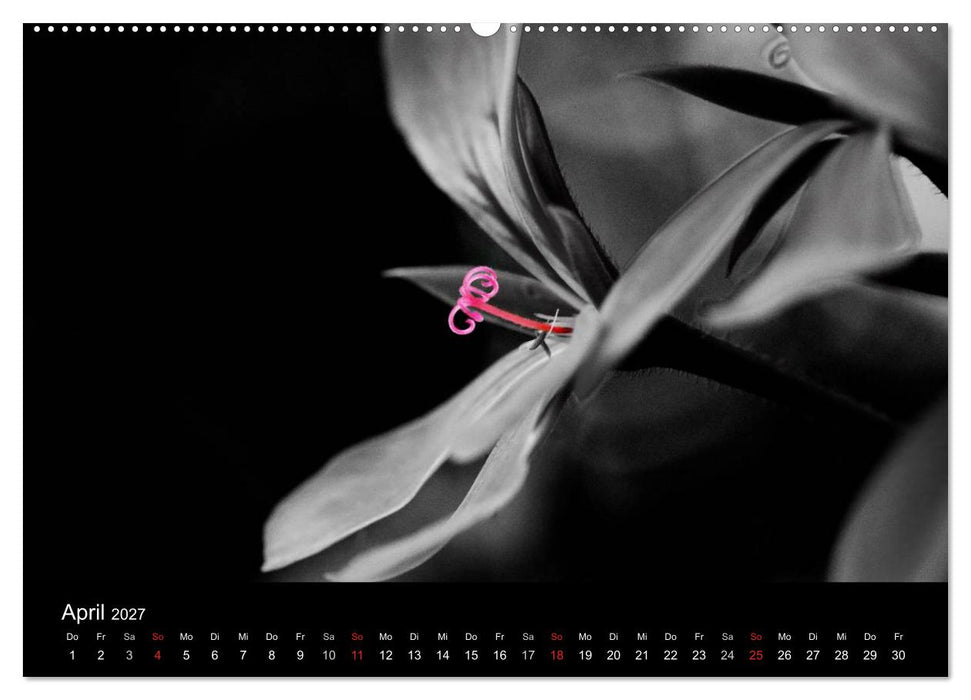 Farbtupfer (CALVENDO Premium Wandkalender 2027)