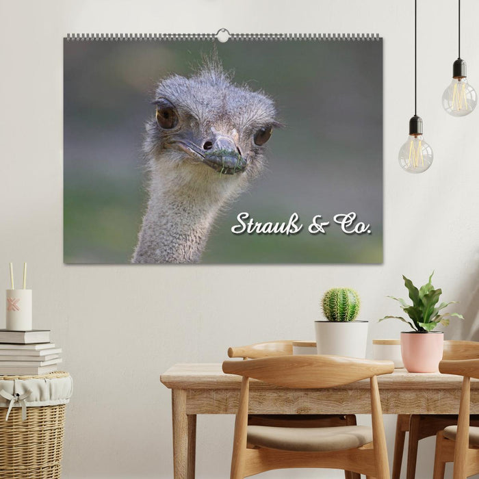 Strauß & Co. (CALVENDO Wandkalender 2027)