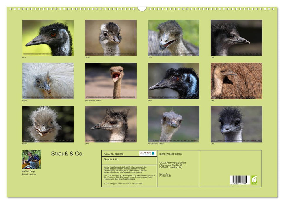 Strauß & Co. (CALVENDO Wandkalender 2027)