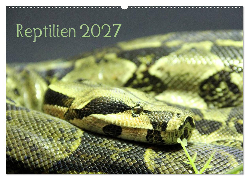 Reptilien 2027 (CALVENDO Wandkalender 2027)