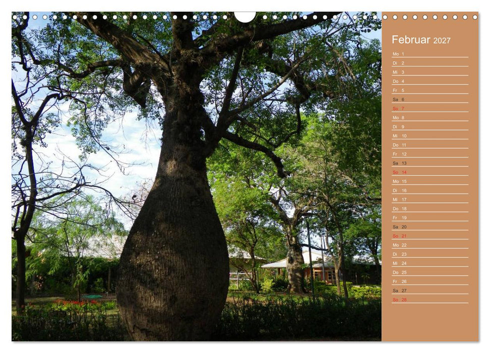 Bilder aus dem Chaco in Paraguay (CALVENDO Wandkalender 2027)
