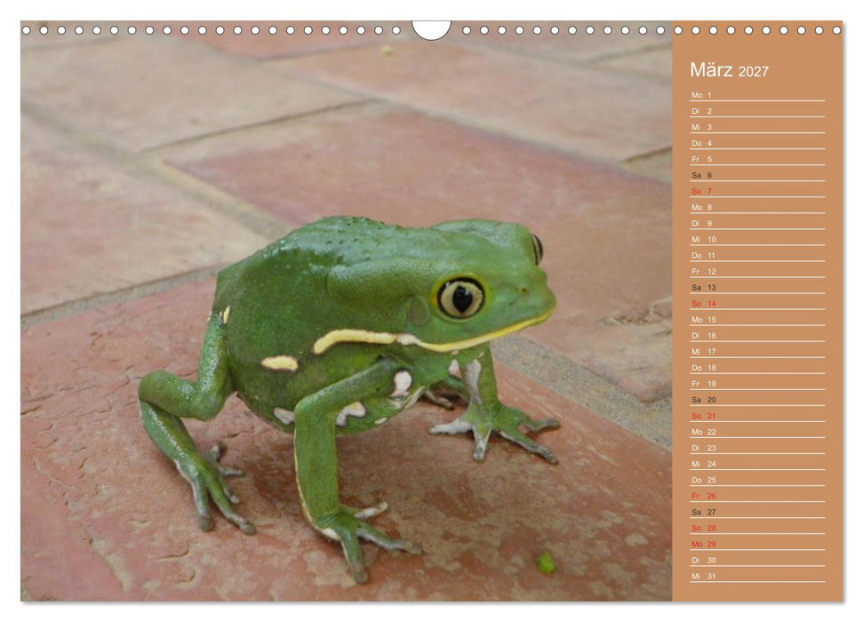 Bilder aus dem Chaco in Paraguay (CALVENDO Wandkalender 2027)