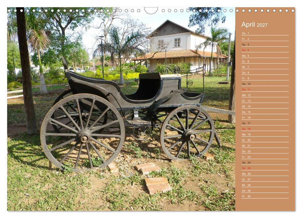 Bilder aus dem Chaco in Paraguay (CALVENDO Wandkalender 2027)