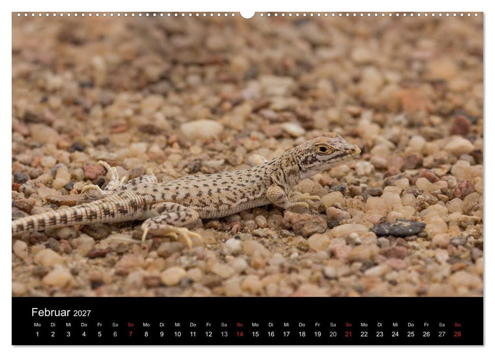 Wunderschönes Namibia (CALVENDO Wandkalender 2027)