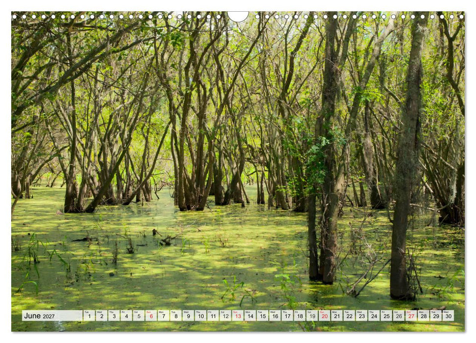 FLORIDA The Sunshine State (CALVENDO Monthly Calendar 2027)